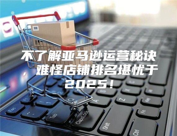 不了解亚马逊运营秘诀，难怪店铺排名堪忧于2025！