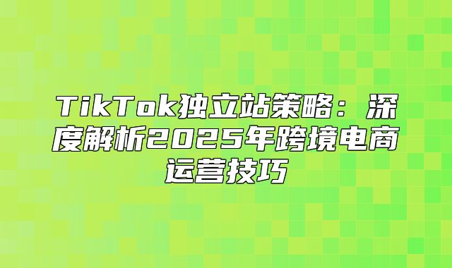 TikTok独立站策略：深度解析2025年跨境电商运营技巧