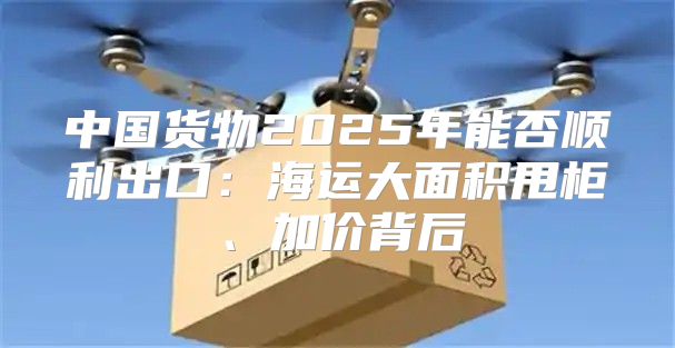 中国货物2025年能否顺利出口：海运大面积甩柜、加价背后
