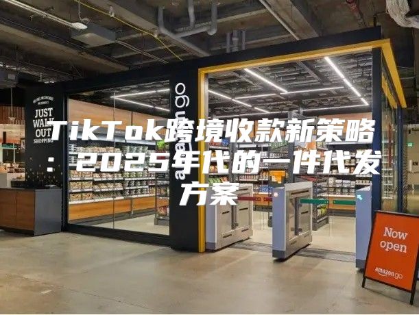 TikTok跨境收款新策略：2025年代的一件代发方案