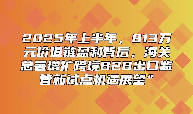 2025年上半年，813万元价值链盈利背后，海关总署增扩跨境B2B出口监管新试点机遇展望”