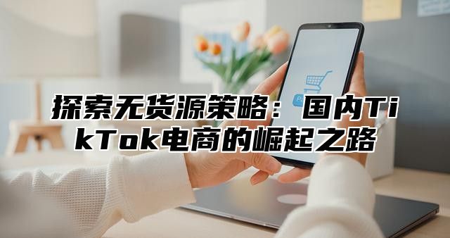 探索无货源策略：国内TikTok电商的崛起之路