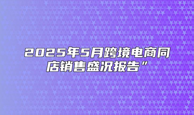 2025年5月跨境电商同店销售盛况报告”
