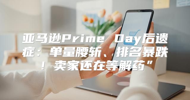 亚马逊Prime Day后遗症：单量腰斩、排名暴跌！卖家还在等解药”