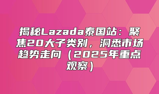 揭秘Lazada泰国站：聚焦20大子类别，洞悉市场趋势走向2025年重点观察