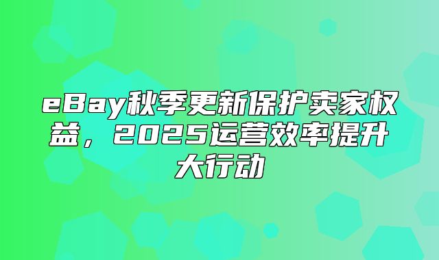 eBay秋季更新保护卖家权益，2025运营效率提升大行动