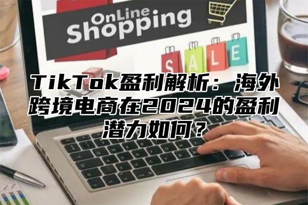 TikTok盈利解析：海外跨境电商在2025的盈利潜力如何？