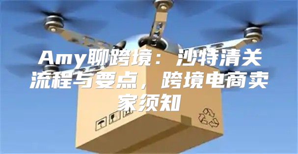 Amy聊跨境：沙特清关流程与要点，跨境电商卖家须知