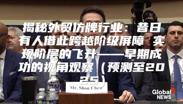 揭秘外贸仿牌行业：昔日有人借此跨越阶级屏障 实现阶层的飞升——早期成功的视角观察预测至2025