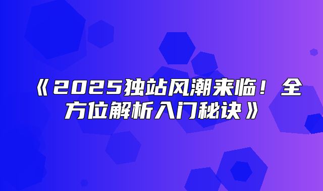 2025独站风潮来临！全方位解析入门秘诀