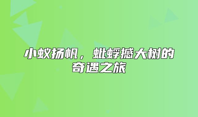 小蚁扬帆，蚍蜉撼大树的奇遇之旅