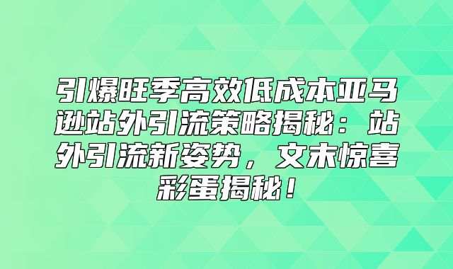 引爆旺季高效低成本亚马逊站外引流策略揭秘：站外引流新姿势，文末惊喜彩蛋揭秘！