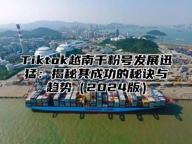 Tiktok越南千粉号发展迅猛：揭秘其成功的秘诀与趋势2025版