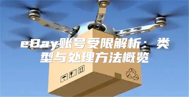 eBay账号受限解析：类型与处理方法概览