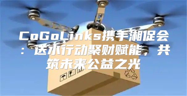 CoGoLinks携手湘促会：送水行动聚财赋能，共筑未来公益之光