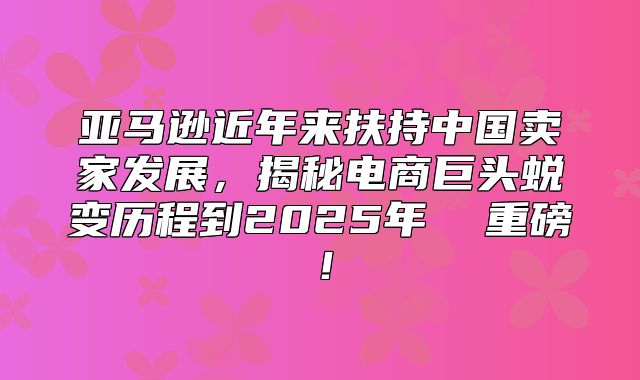 亚马逊近年来扶持中国卖家发展，揭秘电商巨头蜕变历程到2025年  重磅！