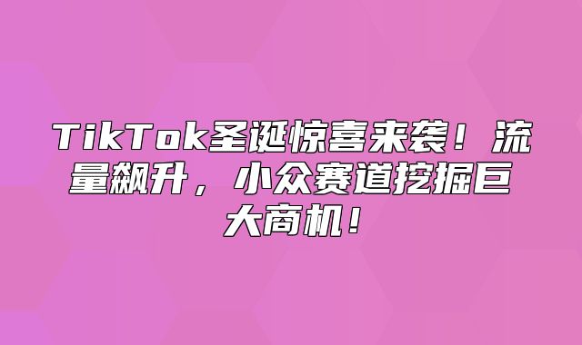TikTok圣诞惊喜来袭！流量飙升，小众赛道挖掘巨大商机！
