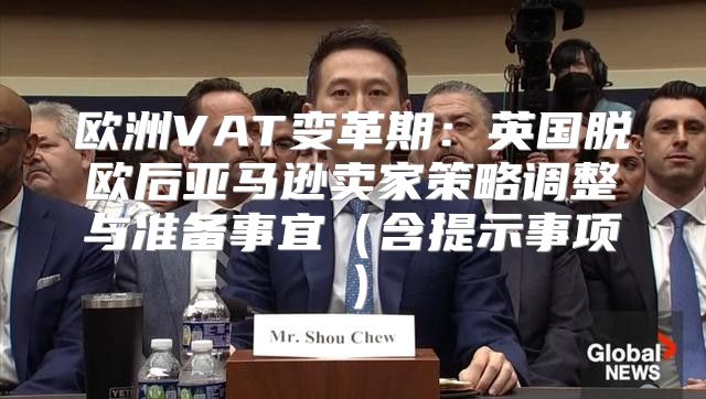 欧洲VAT变革期：英国脱欧后亚马逊卖家策略调整与准备事宜含提示事项