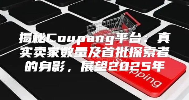 揭秘Coupang平台：真实卖家数量及首批探索者的身影，展望2025年