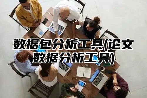数据包分析工具(论文数据分析工具)