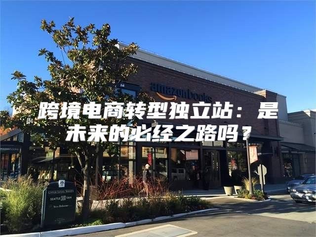 跨境电商转型独立站：是未来的必经之路吗？