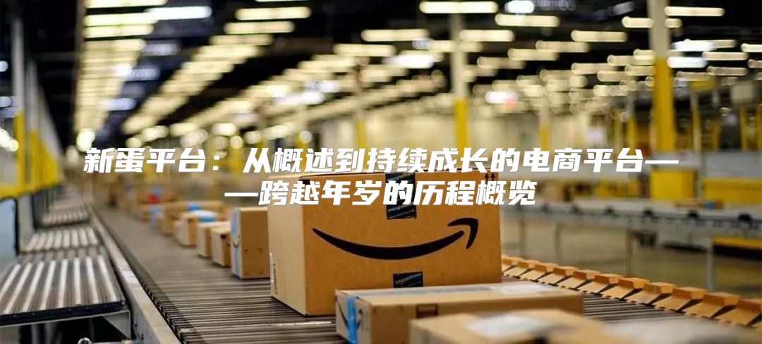 新蛋平台：从概述到持续成长的电商平台——跨越年岁的历程概览