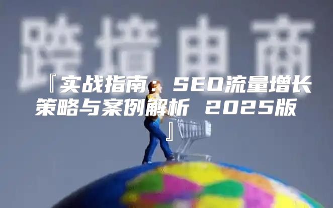 『实战指南：SEO流量增长策略与案例解析 2025版』