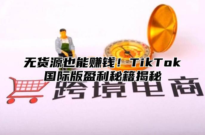 无货源也能赚钱！TikTok国际版盈利秘籍揭秘