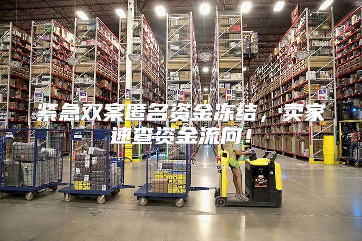 紧急双案匿名资金冻结，卖家速查资金流向！