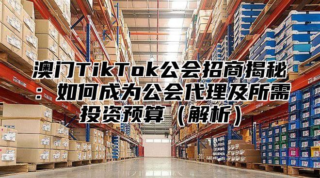 澳门TikTok公会招商揭秘：如何成为公会代理及所需投资预算解析