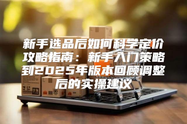 新手选品后如何科学定价攻略指南：新手入门策略到2025年版本回顾调整后的实操建议