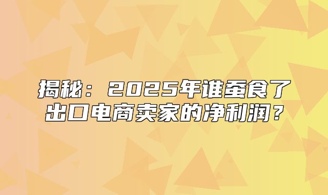揭秘：2025年谁蚕食了出口电商卖家的净利润？
