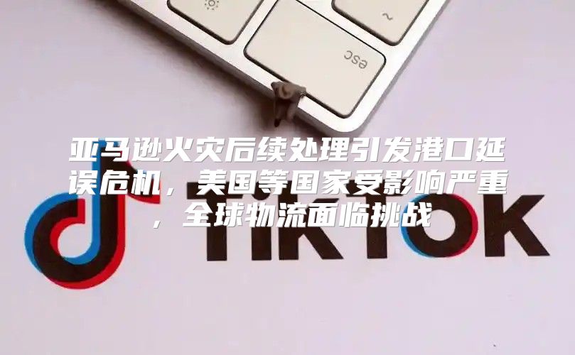 亚马逊火灾后续处理引发港口延误危机，美国等国家受影响严重，全球物流面临挑战