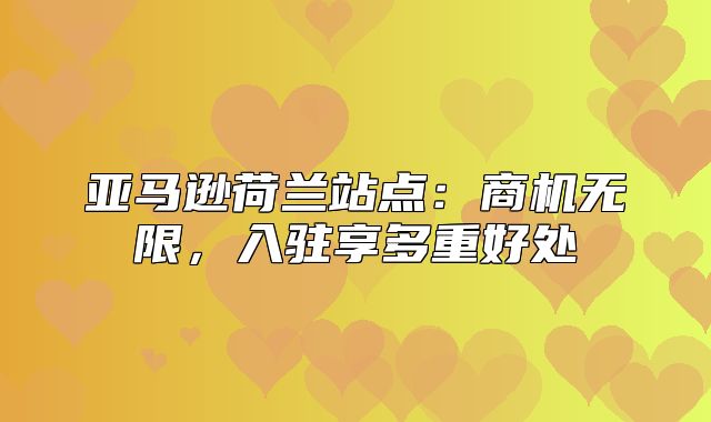 亚马逊荷兰站点：商机无限，入驻享多重好处