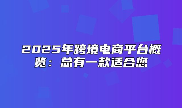 2025年跨境电商平台概览：总有一款适合您