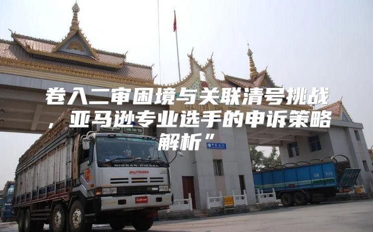 卷入二审困境与关联清号挑战，亚马逊专业选手的申诉策略解析”