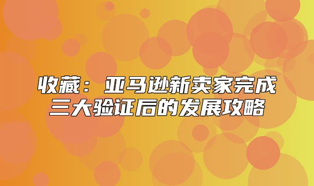收藏：亚马逊新卖家完成三大验证后的发展攻略