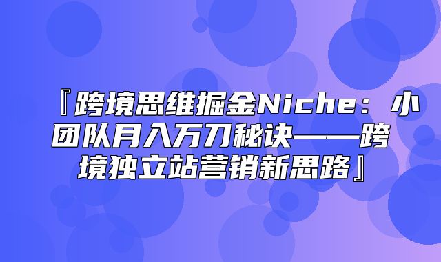 『跨境思维掘金Niche：小团队月入万刀秘诀——跨境独立站营销新思路』