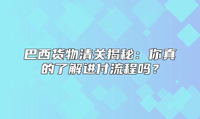 巴西货物清关揭秘：你真的了解进付流程吗？