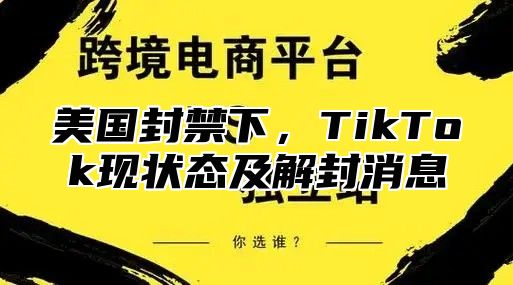 美国封禁下，TikTok现状态及解封消息