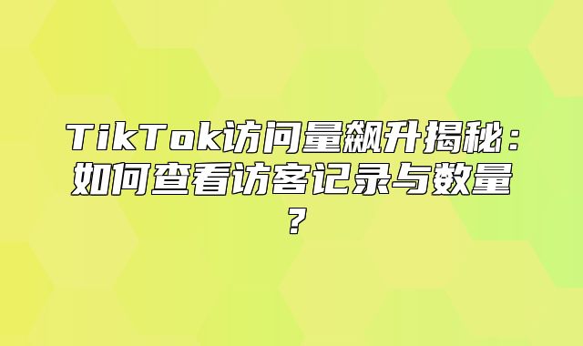 TikTok访问量飙升揭秘：如何查看访客记录与数量？