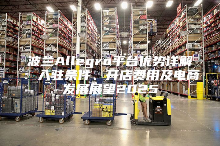 波兰Allegro平台优势详解：入驻条件、开店费用及电商发展展望2025