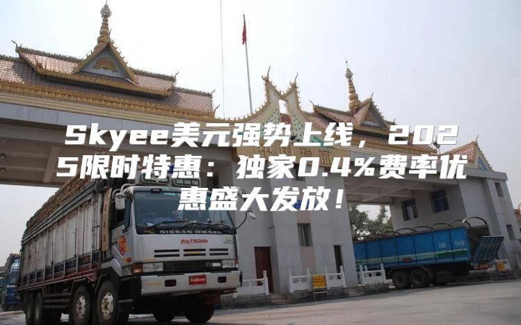 Skyee美元强势上线，2025限时特惠：独家0.4%费率优惠盛大发放！