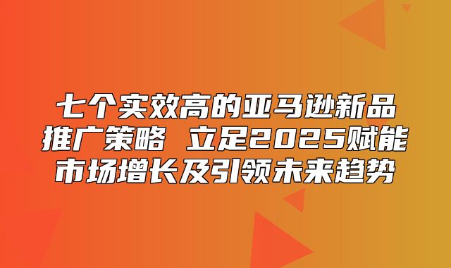 七个实效高的亚马逊新品推广策略 立足2025赋能市场增长及引领未来趋势