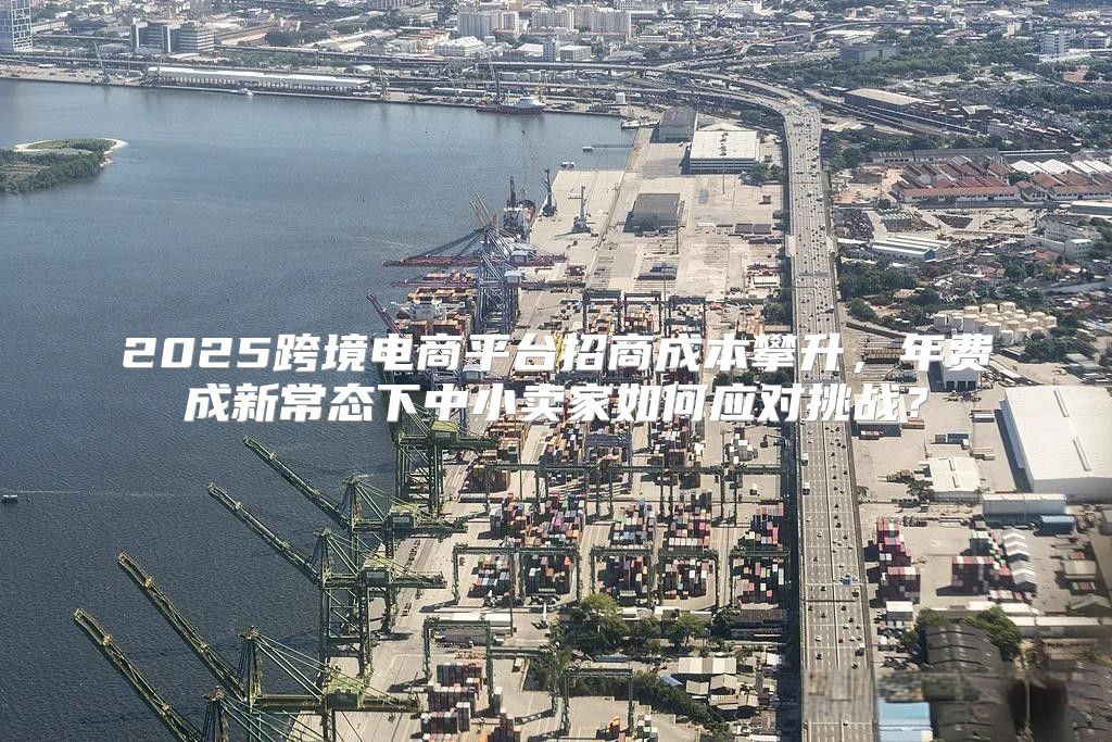 2025跨境电商平台招商成本攀升，年费成新常态下中小卖家如何应对挑战？