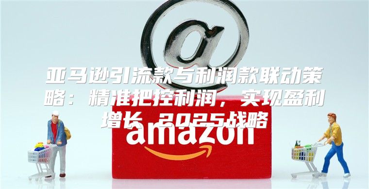 亚马逊引流款与利润款联动策略：精准把控利润，实现盈利增长 2025战略