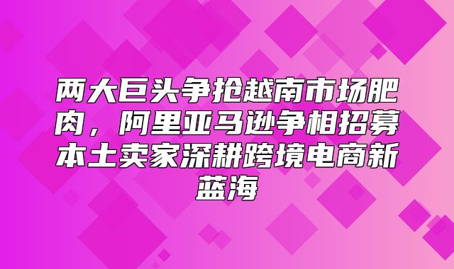 两大巨头争抢越南市场肥肉，阿里亚马逊争相招募本土卖家深耕跨境电商新蓝海