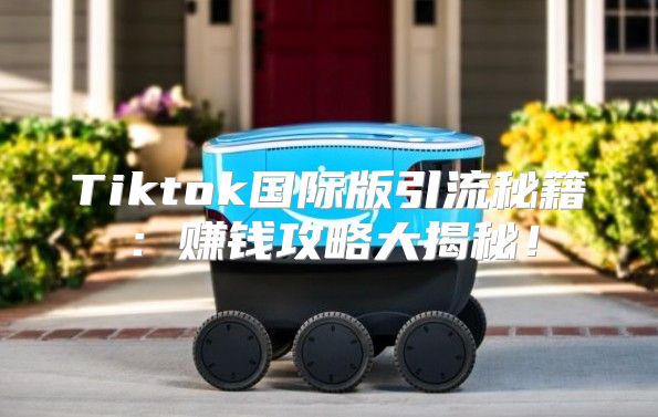 Tiktok国际版引流秘籍：赚钱攻略大揭秘！