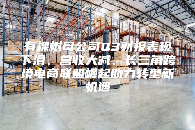 有棵树母公司Q3财报表现下滑，营收大减，长三角跨境电商联盟崛起助力转型新机遇