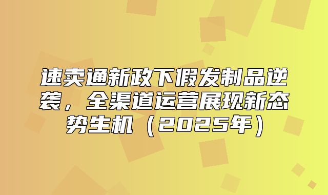 速卖通新政下假发制品逆袭，全渠道运营展现新态势生机2025年